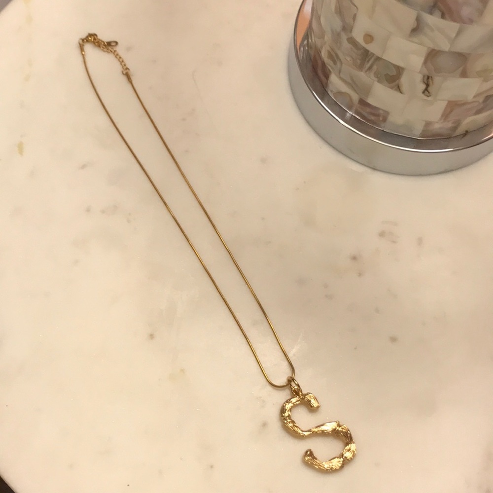 S-Shaped Necklace
